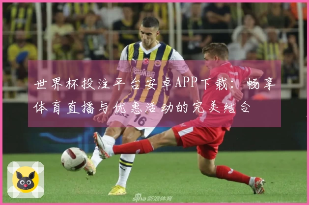 世界杯投注平台安卓APP下载:畅享体育直播与优惠活动的完美结合