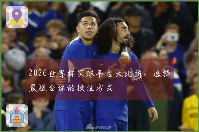 2026世界杯买球平台大比拼，选择最适合你的投注方式
