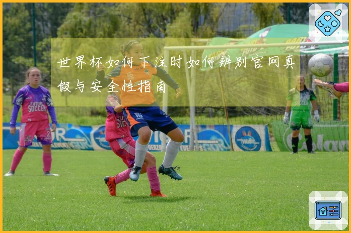 世界杯如何下注时如何辨别官网真假与安全性指南