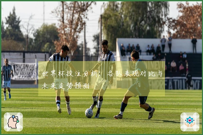 世界杯投注分析：各队表现对比与未来走势预测