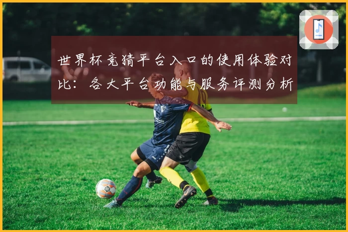 世界杯竞猜平台入口的使用体验对比：各大平台功能与服务评测分析