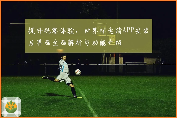 提升观赛体验，世界杯竞猜APP安装后界面全面解析与功能介绍