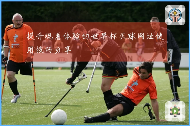提升观看体验的世界杯买球网址使用技巧分享