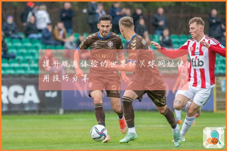 提升观看体验的世界杯买球网址使用技巧分享