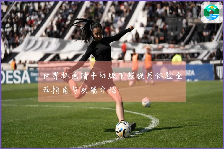 世界杯竞猜手机版下载使用体验全面指南与功能介绍